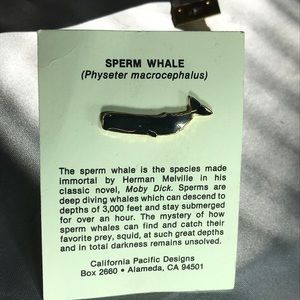 Blue enamel sperm whale Lin from green peace
